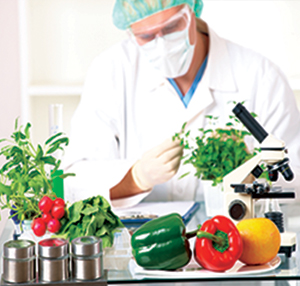 Food Safety Consultancy in UAE